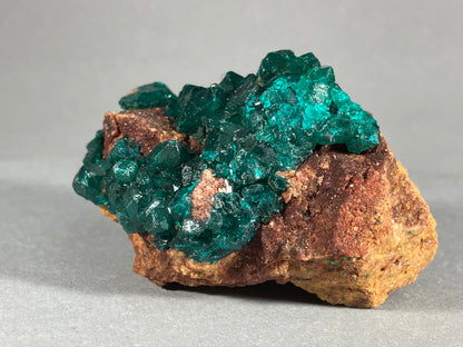 Dioptaskristalle - Kongo ca. 5,8x3,5cm