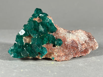 Dioptaskristalle - Kongo ca. 5x3cm