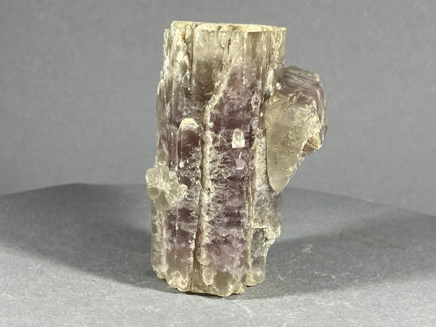 Aragonit - Gallo/La Mancha ca. 6x4cm