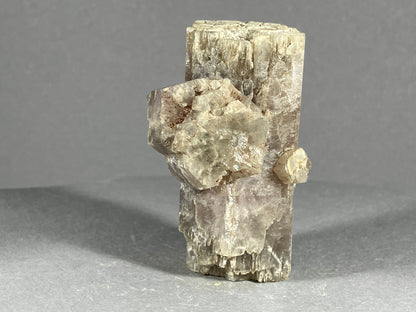 Aragonit - Gallo/La Mancha ca. 6x4cm