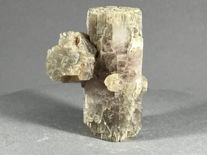 Aragonit - Gallo/La Mancha ca. 6x4cm