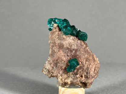 Dioptaskristalle - Kongo ca. 4x3,5cm