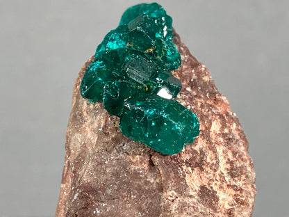 Dioptaskristalle - Kongo ca. 4x3,5cm