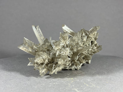 Gips - Hall in Tirol ca. 8x5cm