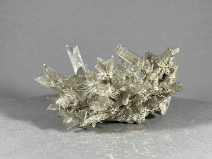 Gips - Hall in Tirol ca. 8x5cm