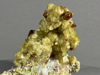 Andradit (var. Topazolit) - Veracruz/Mexiko ca. 8x6,5cm