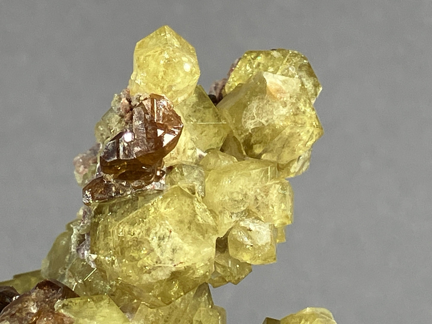 Andradit (var. Topazolit) - Veracruz/Mexiko ca. 8x6,5cm