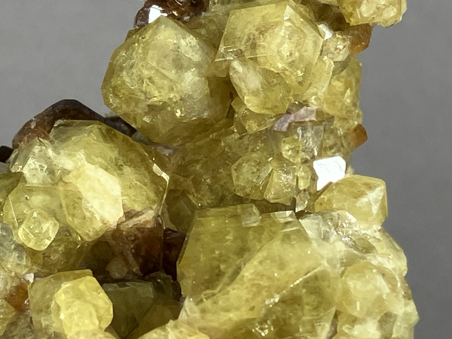 Andradit (var. Topazolit) - Veracruz/Mexiko ca. 8x6,5cm