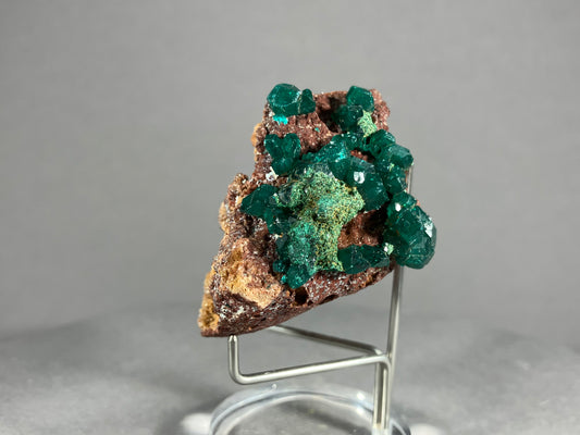 Dioptaskristalle - Kongo ca. 4,8x3,5cm