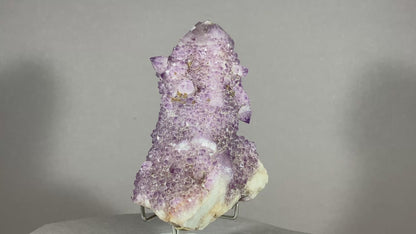 Kaktus Amethyst -Mpualanga/Afrika ca. 11x7cm