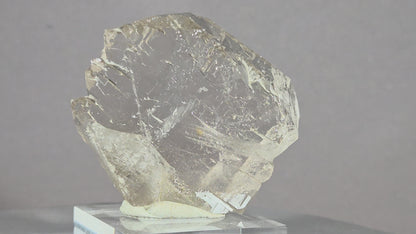 Rauchquarzgwindel - Uri/Schweiz ca. 5,8x5cm