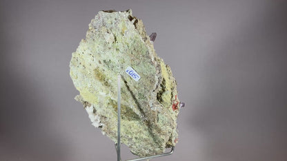 Amethyst - Vera Cruz/Mexiko ca. 15,5x10cm