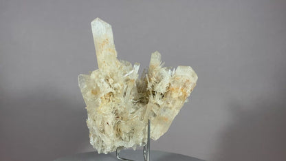 Gips - Lubin/Polen ca. 7x8cm