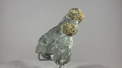 Pyrit - Hohenems/Vorarlberg ca. 6x5cm