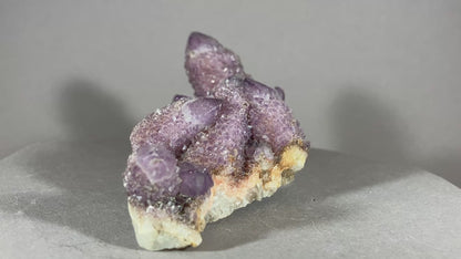 Kaktus Amethyst -Mpualanga/Afrika ca. 10x5cm