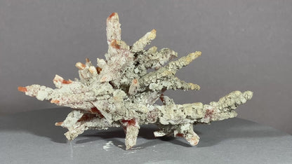 Bergkristall/Redquartz - Dálnegorsk/Russland ca. 9x5cm