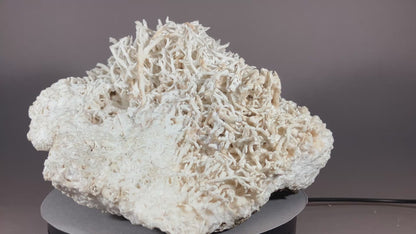 Eisenblüte - Erzberg/Steiermark ca. 16x16cm